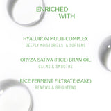 Radiant Rice Ferment Cleansing Oil